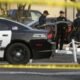 The madman murdered his wife and 7 children, went to the roof and killed the child.