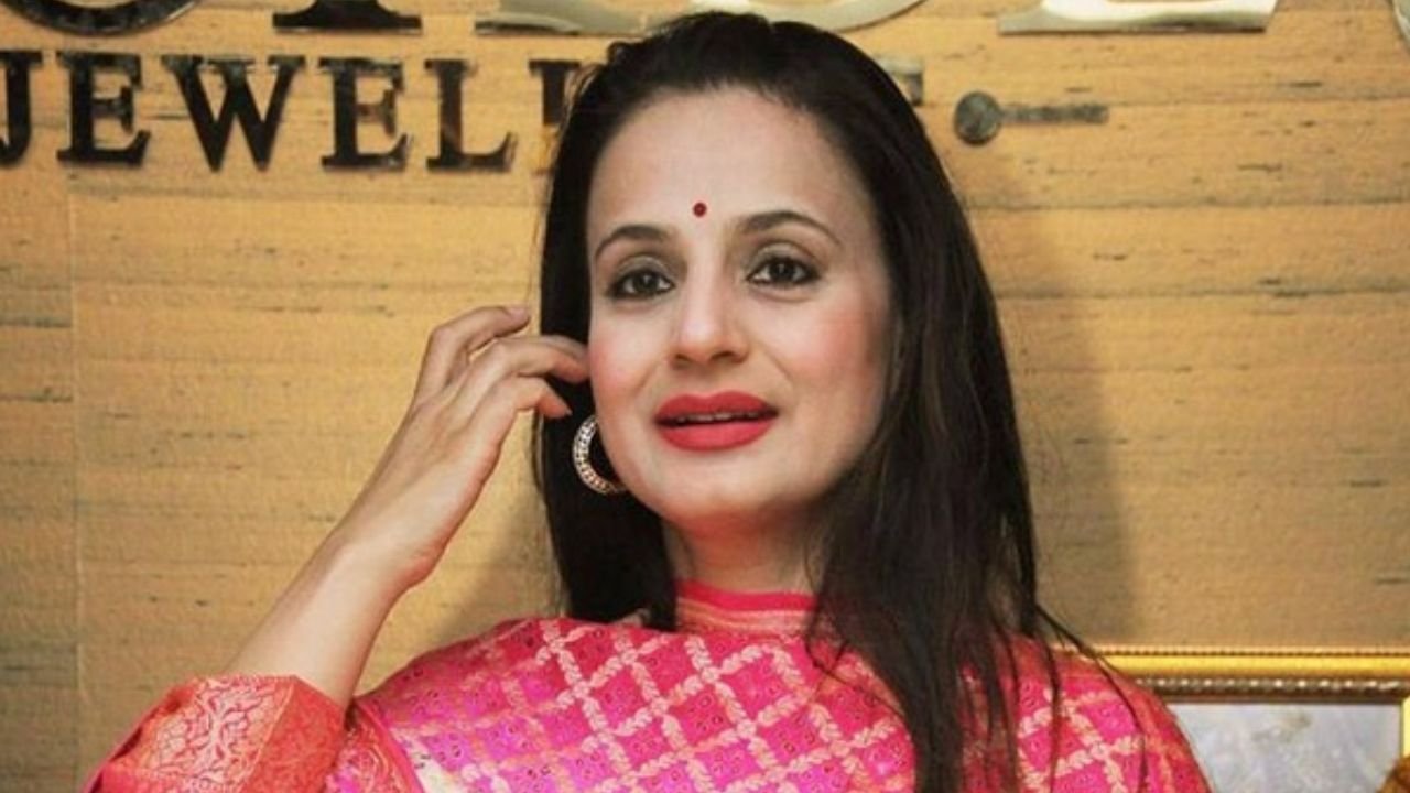 'We know how to bring others down', Ameesha fumed at people, backs Alia