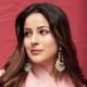 Has Shahnaz Gill fallen in love again? She is dating this RCB cricketer!
